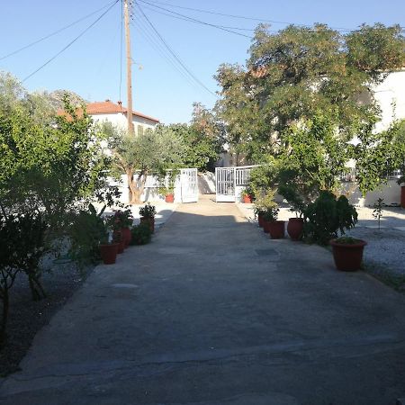 Sunny Cozy House With Grand Courtyard Apartment เลโอนีดีออน ภายนอก รูปภาพ