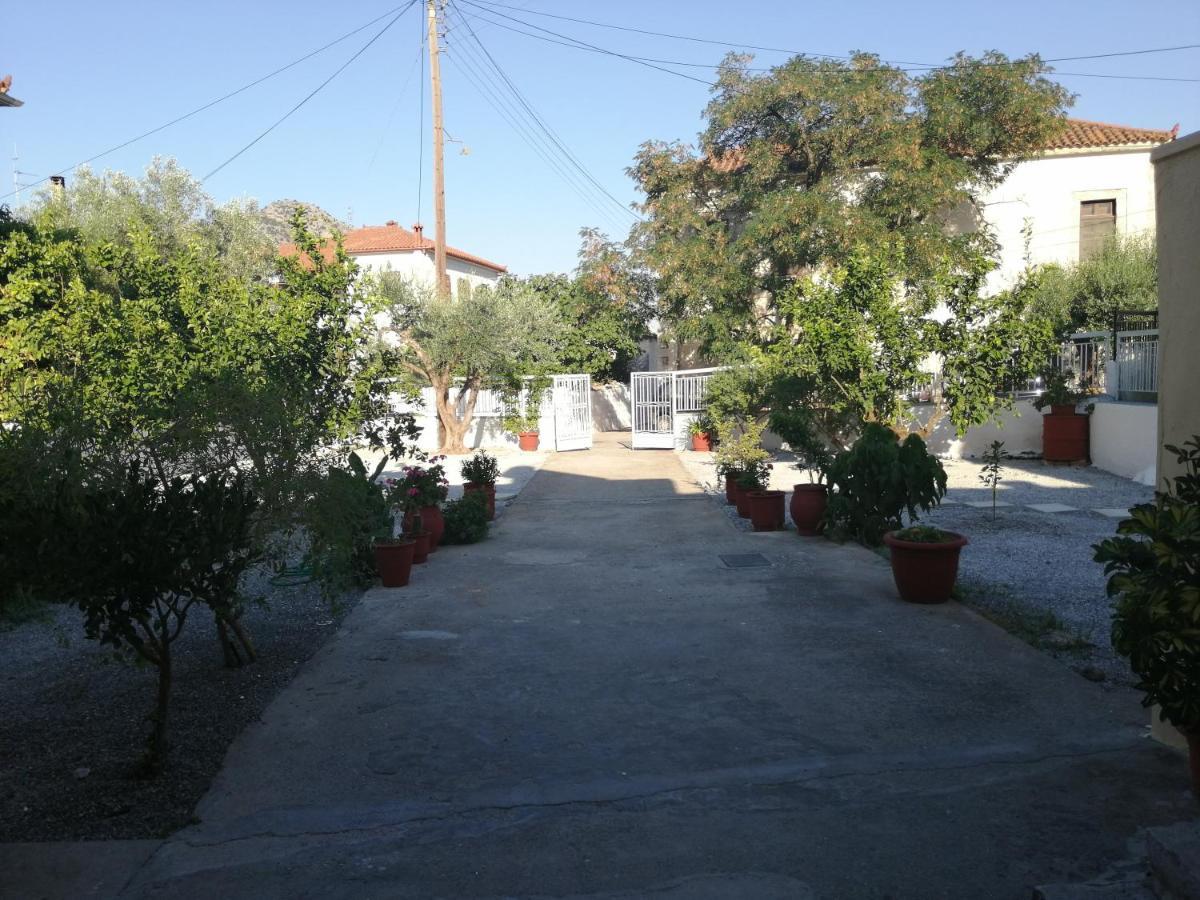 Sunny Cozy House With Grand Courtyard Apartment เลโอนีดีออน ภายนอก รูปภาพ